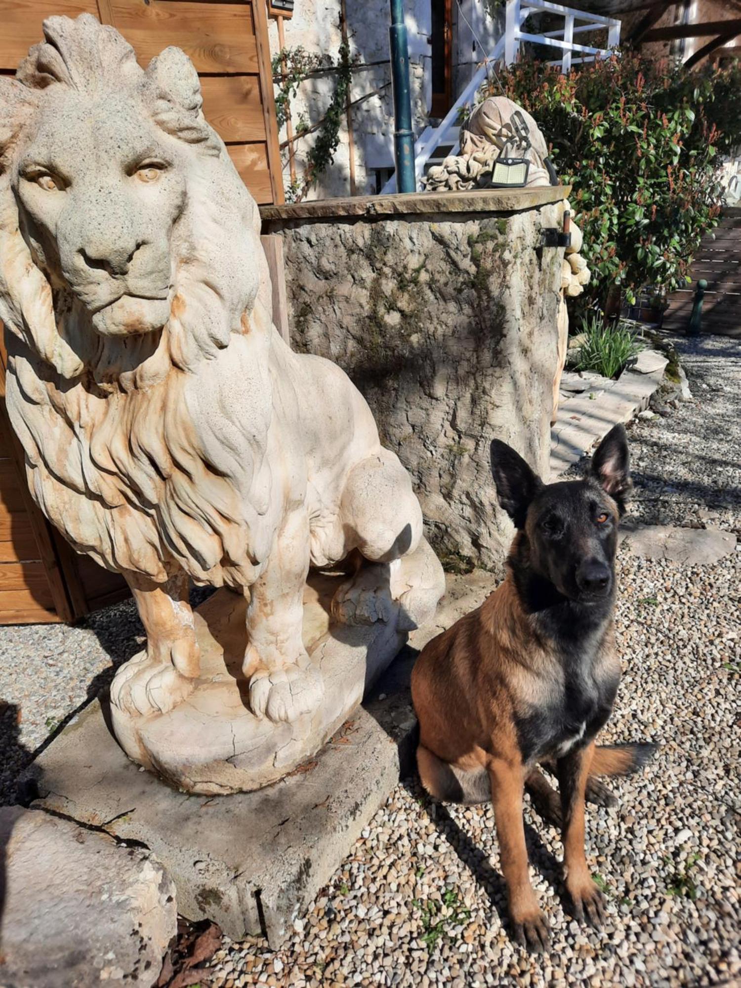 Gite Des 2 Lions Murs-et-Gelignieux Ngoại thất bức ảnh